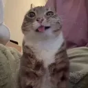 emanuel2p120. avatar