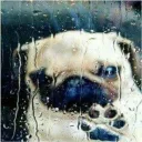 Аватар qbn000_15242