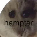 breeconnor_61737 avatar