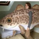 creepyfish