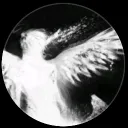 compl1cated_cs avatar