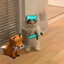 mvperkn0