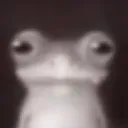 stale.doritoe avatar