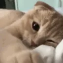 smerfusik