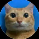 frabrizio2.0_ avatar