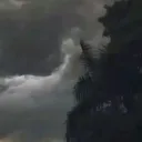jaysznn80