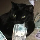 therealjakexfrosty avatar