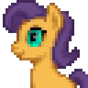 townhorse