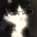 naotoriusu_