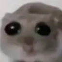 la_cajeta_lcvrla avatar