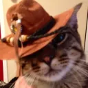 waylon.developer