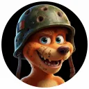 ccraashh
