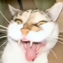 ravineglistening