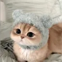 katie_19_85_42651 avatar