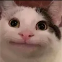 gameryoshi_73