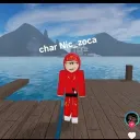 davizinho053020 avatar