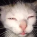 sepaciente0697 avatar