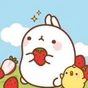 hachiwareboi