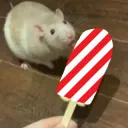 livingmylife2 avatar