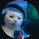 dex342