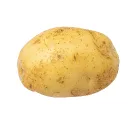 kartofel0725_35648 avatar