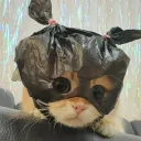 kokorosi_