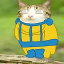 tracksuitsebasxd_52024 avatar