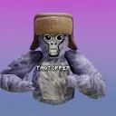 tagtoppervr
