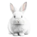 tiaxe_fr