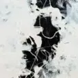 d5ks9_