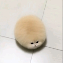 avatar ❄𝑷𝒉𝒖𝒎𝒚𝑬𝒗𝒊𝒍𝑷𝒓𝒊𝒏𝒄☃