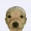 fwxrriox_40351 avatar