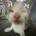 this_is_qunni