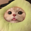 markheinrich_'s Avatar