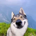 vendexy____