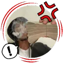 dvisualsports