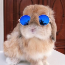 avatar Rg_SHKA☄️