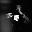 unknownfavone