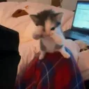 canocanobilmiyorlardimi avatar