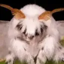 exexexexexexexexexexexexexes avatar