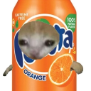 fantafizzzzz avatar