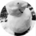 .skull_food.