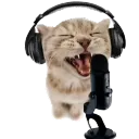oreillesdechat