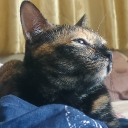 Fhasaimini's avatar