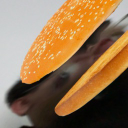 R3G_hal