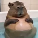 shizzaren