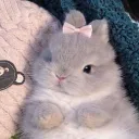 llunalvy