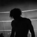 lrtx24