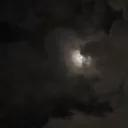 omarolivia7_22191