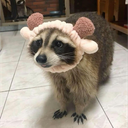 zxxdiamondxxz's Avatar
